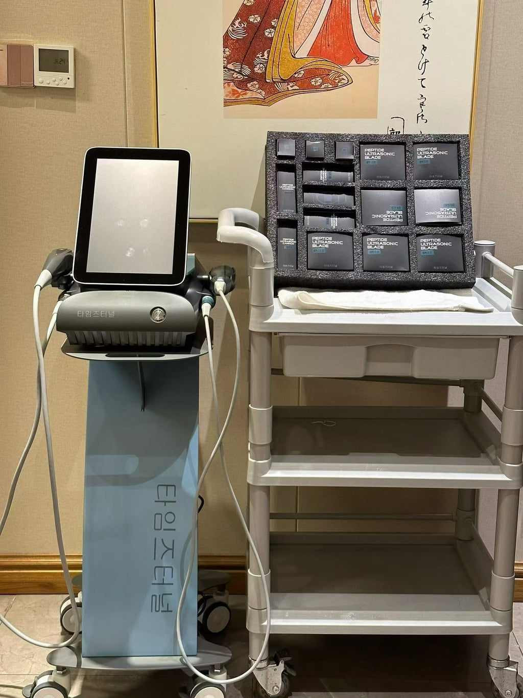 Professional Titanium Ultrasonic Beauty Device | Multi-Function Facial Care System